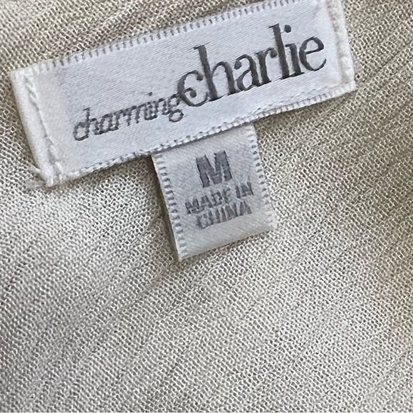 CHARMING CHARLIE off white lace gauze dress size medium lined - Picture 7 of 8